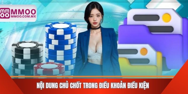 Nội dung chủ chốt trong điều khoản điều kiện